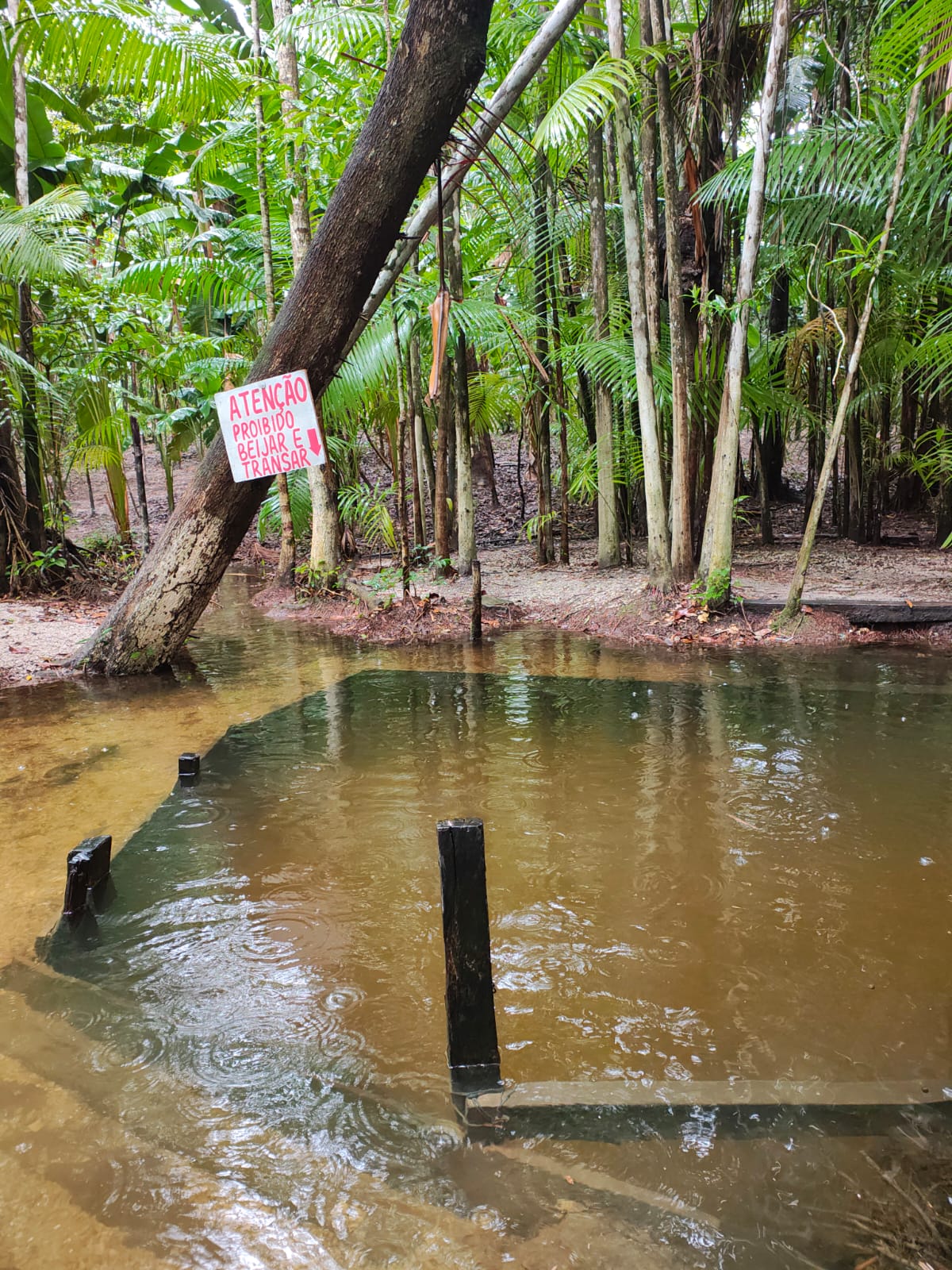 Balne&aacute;rio S&atilde;o Francisco – foto 4 de 6